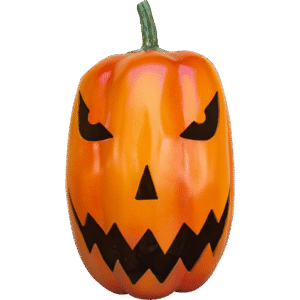 PUMPKIN 40H (FORMERLY TALL)